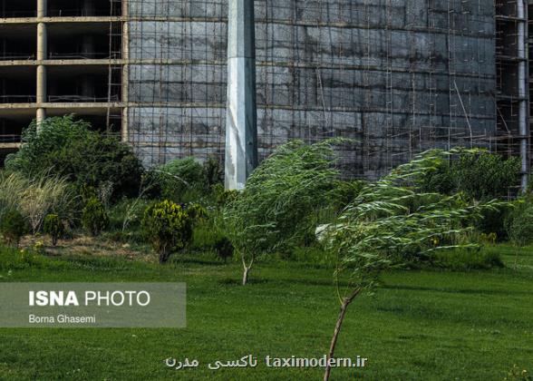 پیش بینی باد شدید و گرد و خاک در جنوب و غرب تهران