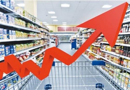 شاخص قیمت مصرف کننده خانوارهای کشور ۲ درصد افزوده شد