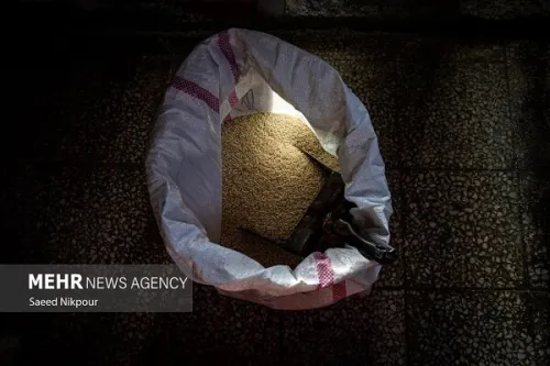 رشد دو برابری واردات برنج برنج هندی در صدر برنج های خارجی