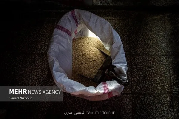 رشد دو برابری واردات برنج برنج هندی در صدر برنج های خارجی