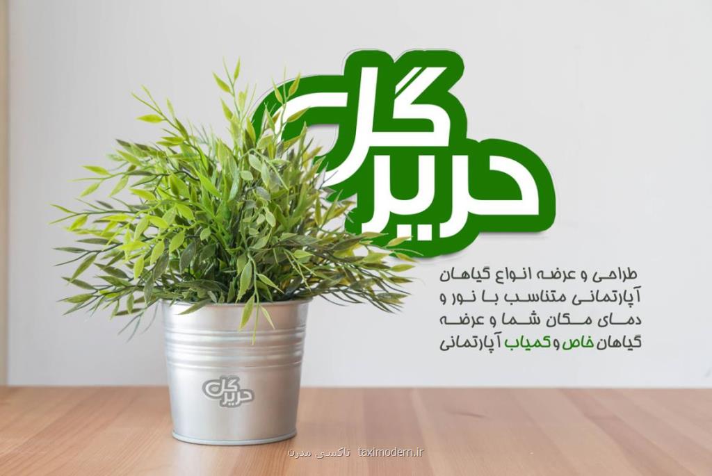 چند ترفند برای خوشگل كردن منزل با گیاهان آپارتمانی