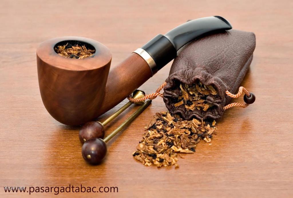 راهنمای خرید و نگهداری پیپ