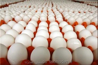 تمدید عوارض 3500 تومانی برای صادرات تخم مرغ